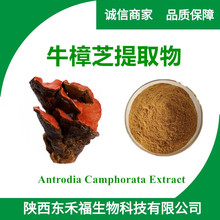 ţ��֥��ȡ��������� ˮ����ţ��֥�� ������ȡ ţ��֥����