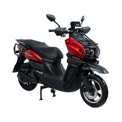 Large Goods, Elektrikli motosikletlər
