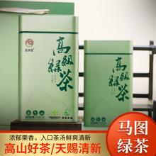 梅州高山头春马图绿茶铁罐装茶农源头直销新茶高山绿茶茶叶送礼