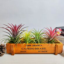 �՚��P��o������ֲ�ﻨ�������҃Ⱥ��B��������ȩ�k�����[��