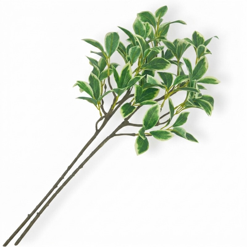 Single artificial daphne leaf with high-fidelity texture, moisturizing green plant foliage, Nordic style living room floral arrangement decoration factory Single artificial daphne leaf with high-fidelity texture, moisturizing green plant foliage, Nordic style living room floral arrangement decoration factory