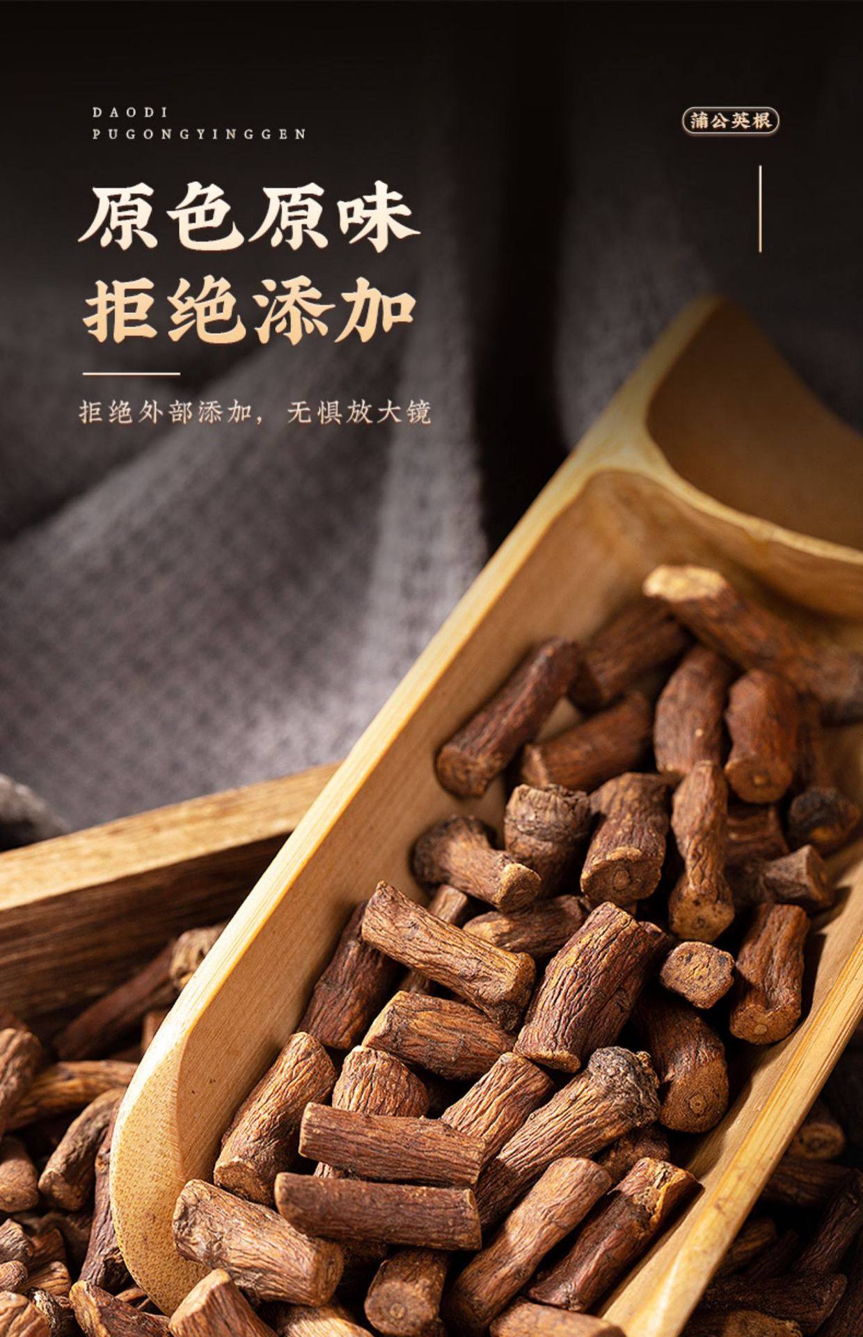 Premium Dandelion Root Dried Herbal Tea 250g Jar Chinese Pugongying Gen Wellness Infusion in use