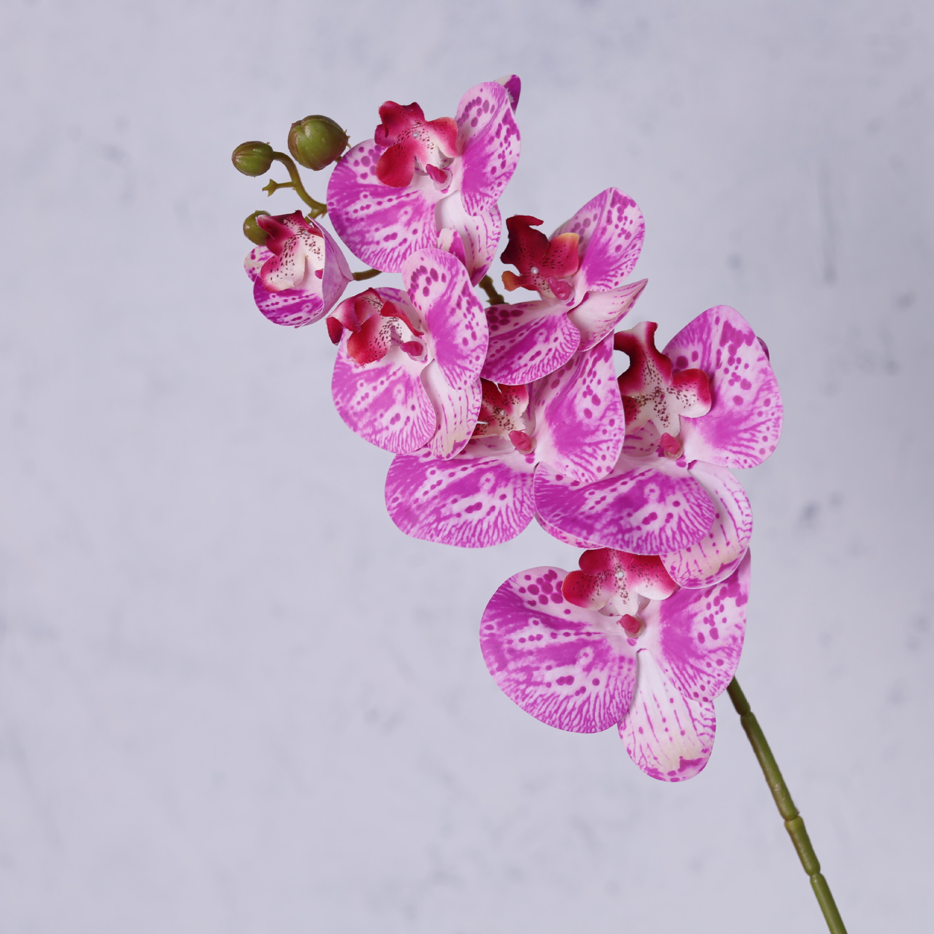 Impresión 3D de 7 cabezas de orquídeas mariposa flor de decoración de flores de alto nivel flor de nicho decoración floral decoración de sala de estar