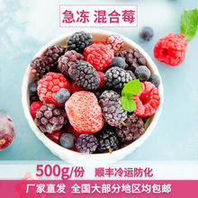 速冻水果冷冻新鲜混合莓果蓝莓莓红树莓榨汁包邮一件批发跨境电商