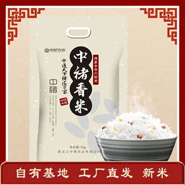 大米;其他米面类