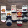 Cartoon women's socks dog pattern socks striped women's cotton socks cross -border hot selling cotton socks