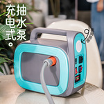 大流量浇菜打药灌溉洗车智能打药泵盛世源林新款充电式照明手提泵