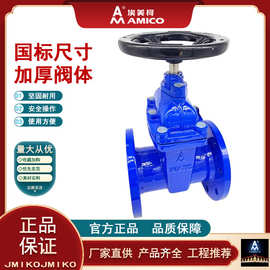 正品埃美柯9161球墨铸铁法兰闸阀软密封暗杆弹性座封DN50-300泄水