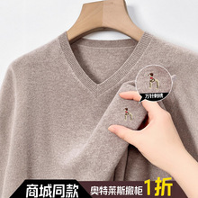奥特莱斯撤柜丨专柜正品新款男士冬季羊绒衫V领羊毛针织毛衣上衣
