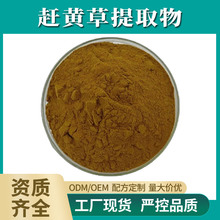 赶黄草提取物 10:1 赶黄草草粉 水泽兰提取物 扯根菜提取物 现货