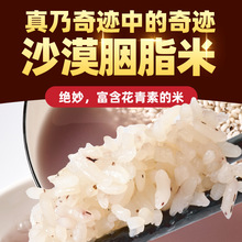 �½��첼�頖ɳĮ��֬�� �Gɫ�Nֲ������ɽѩˮ��� ���l�½�����