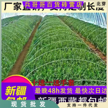 新疆西藏包邮农用小拱棚支架拱竿蔬菜保温棚菜棚杆遮阳防虫网架子