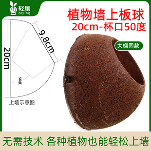 �p��20cm50���ϰ���¹��ާֲ��o�����߰�ֲ�򁆻ʟ�ֲ���ͻ��|