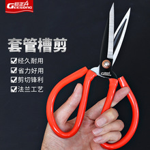 ��������̼����Q�ۼ�����;�FƤ늹������b�ÿp����Ƥ������l