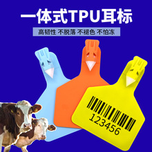 һ�wʽţ����TPU��̖���Bֳ��ţ���i����˺���ӛ�Ǝ����a̖