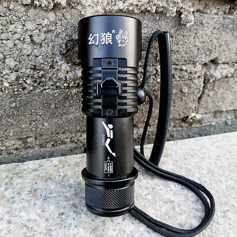 IMG_20211115_155300_副本