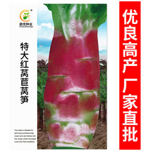 ���l�߲˷N���ش�t�n�S�N��8�� �����̨Ժ�ӷN�Ӳ��яS��ֱ��