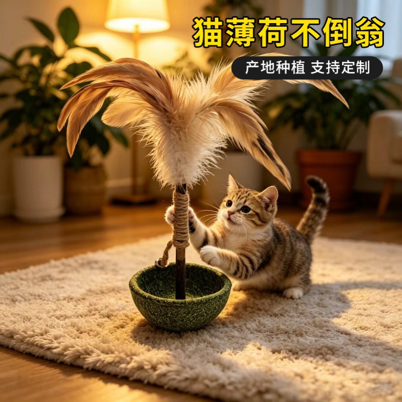 微信图片_20260606190449_1093_781 -