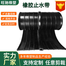 厂家定制中埋651型桥梁P型隧道管廊水利背贴外贴式钢边橡胶止水带
