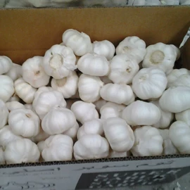 蒜;洋葱;脱水蔬菜