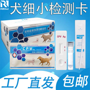 Biolu Biological Pet Test Paper Dog Small Test Pets Pet Dog Small Virus Test Paper Card Box Factory Supply Supply