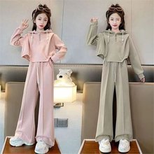 女童春秋套装2025新款华棉秋款洋气时髦中大童女孩炸街衣服ins潮