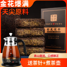 送蒸茶器金花黑茶正宗天尖原料手筑茯砖茶湖南黑茶叶批发安华茶