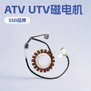 Huansong 700ATV UTV двигатель с катушкой статора магнето двигатель мотоцикла Huansong 700 Huansong 700