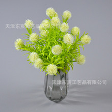 �Ҿ��k�����b�ˇ����Gֲ�ѹ�Ӣ�[��ֲ�����ԔzӰ���߷��滨