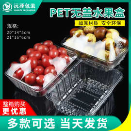 一次性水果盒pet蔬菜塑料透明包装盒超市食品果蔬打包盒生鲜托盘