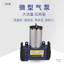 31SPMС�������� Ѫ��Ӌ��� ���������݃x��ø�Ĥ���o����