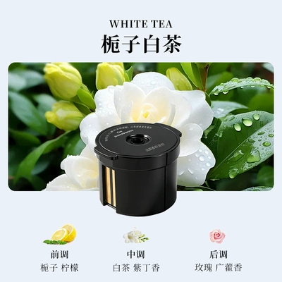 Car Perfume Aromatherapy — Mist Car Fragrance, Light Luxury - gardenia-white-tea-1-incense-box