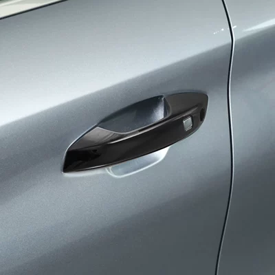 Door Handle Door Bowl Protective | Portal Wrist