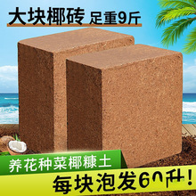 Ҭ�u�I�B���N��ͨ����Ó�}Ҭ����KҮ�u�����������B�������N���l