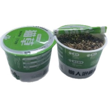hierba para gatos, hierba para gatos en maceta, hierba para gatos, hierba para gatos