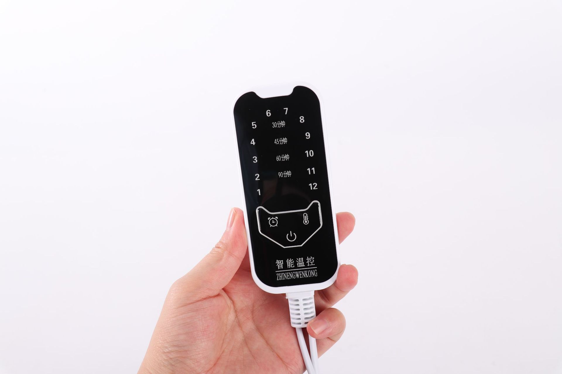 bolsa de calentamiento eléctrico de compresión de sal marina bolsa de calentamiento de sal interior núcleo de cándula bolsa de sal de moxibustión bolsa de moxibustión interior doméstica