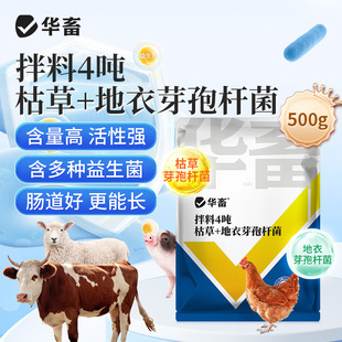 �A��F���������S�����������iţ���uѿ�ߗU�����L�_��������ӄ�