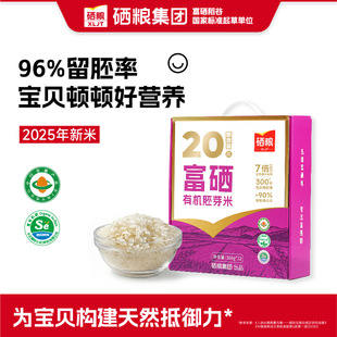 XLJT���Z�����ЙC��ѿ��2025������96%�������͌������׃��oʳ�V