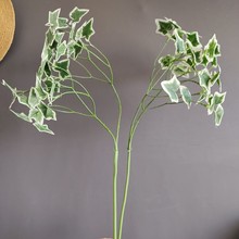 Gֲ廨ֲﾰ^b~G}~l羳؛Դ~l