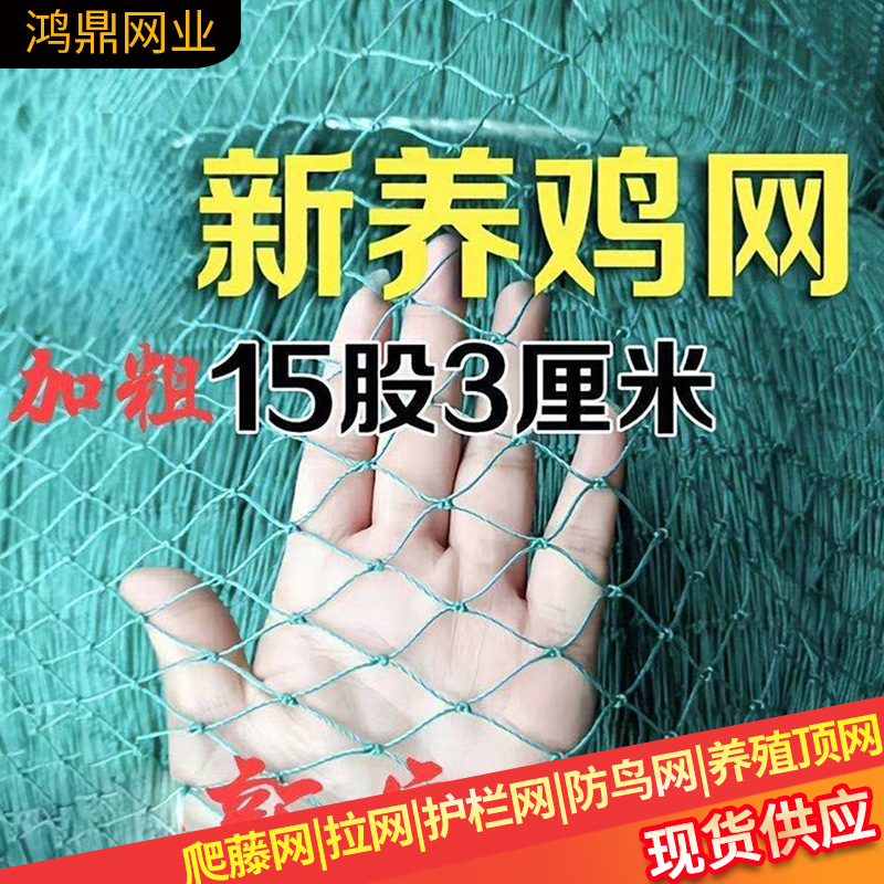 养鸡网 防飞网 防鸟拦鸡网 攀爬 围栏爬藤网尼龙网隔离网