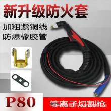 LGK60/100иC P80xӸ ĥѾ懊