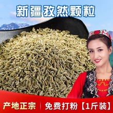 批发新疆正宗特产孜然粒500g烧烤撒料香料调味磨粉小茴香烤肉调味