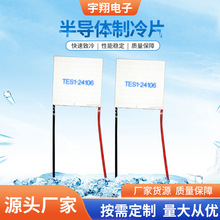 �뵼������ƬTES1-24106 ����Ƭ24V����Ƭ�뵼������㲿������
