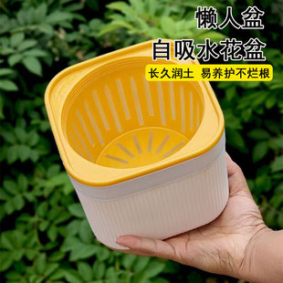 �Ԅ���ˮ����Ӻ��p�ӑ��������ԾG�}�������汱�W���Ͼ��[����