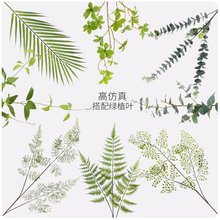 ����~�ȼ����~���X�~���ٻ��Gֲ�b͏d�b�ֲ��[��