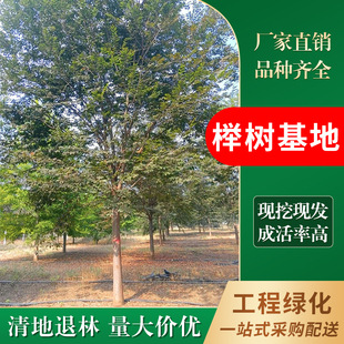 �Θ���� ������� �S��ֱ�N��3-35���֙Θ� �t�� �е������l