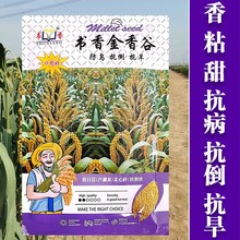 �������ȷN��С�׹��Ӽt���ӷN��С���׺����ȷN����Ŵ�߮a����