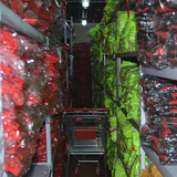 Футболка polo для работы, с услугой печати логотипа, с вышивкой