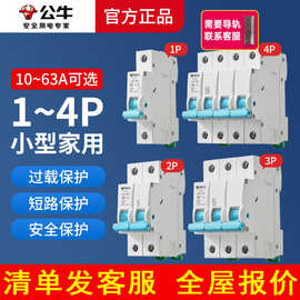 公牛空气开关家用电闸塑壳断路器1p/2p总闸220v空开63a/32a/16a