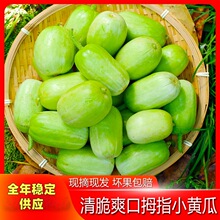 �ƹ�������Ů�ƹ�ˮ��С�ƹ�Ĵָ�ƹ�������϶���������ƹ��߲�